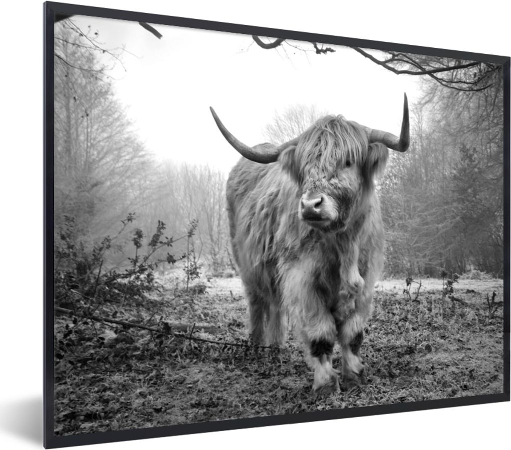 MuchoWow® MuchoWow® Gerahmtes Poster Schottische Produktbild 