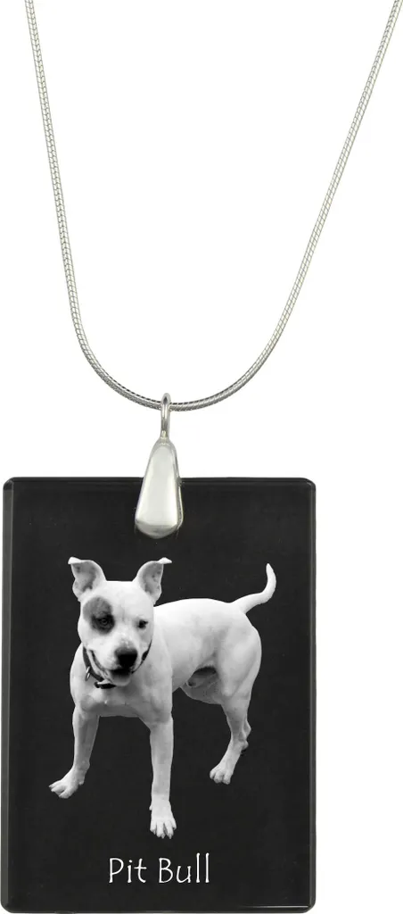 Ciondolo Pitbull Cristallo e Argento Art-Dog | Collana Foto Personalizzata
