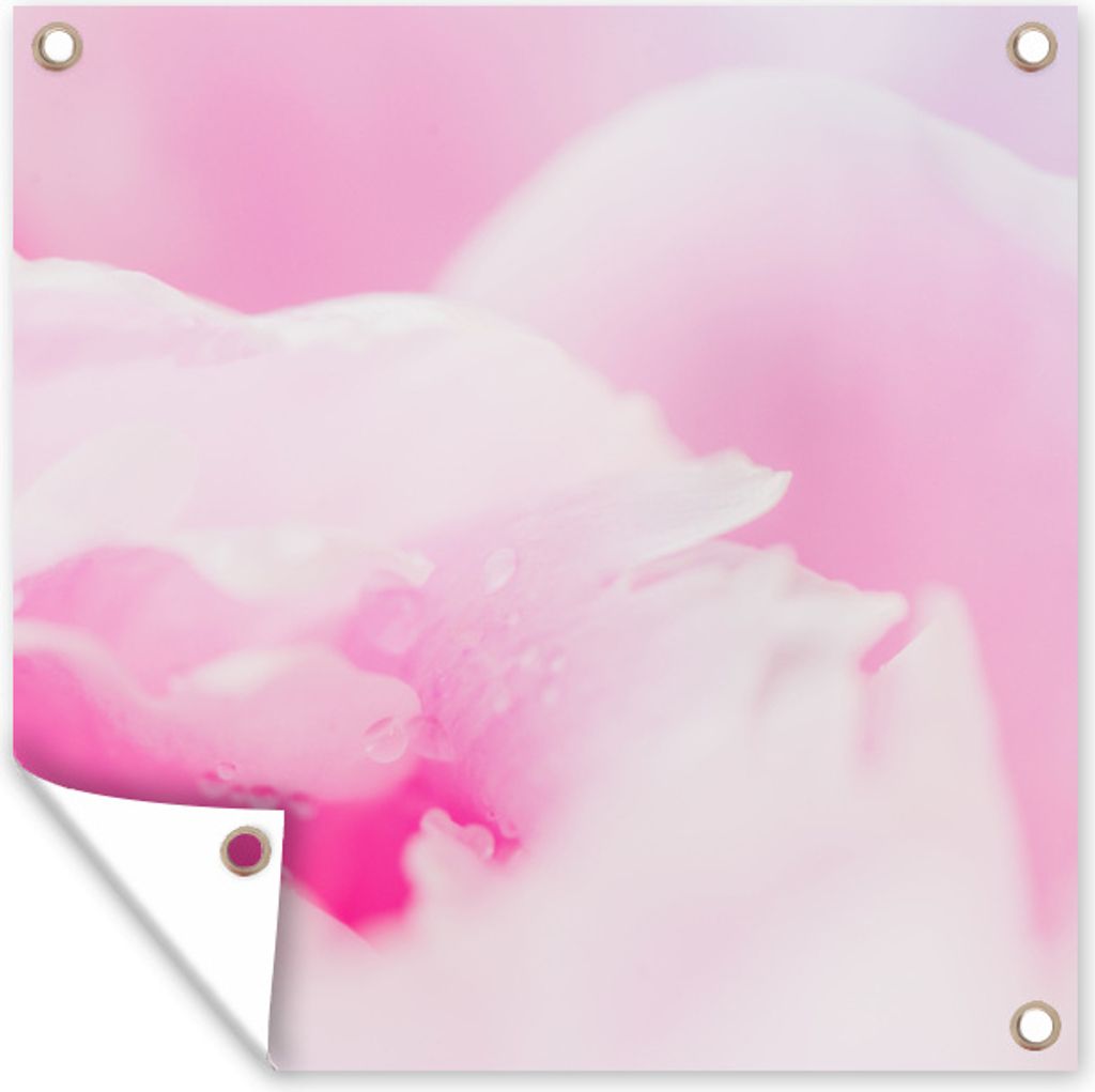 MuchoWow 50x50 cm Outdoor-Poster Gartendeko Sichtschutz Garten Poster für den Garten Nahaufnahme der Blütenblätter der rosa Pfingstrose