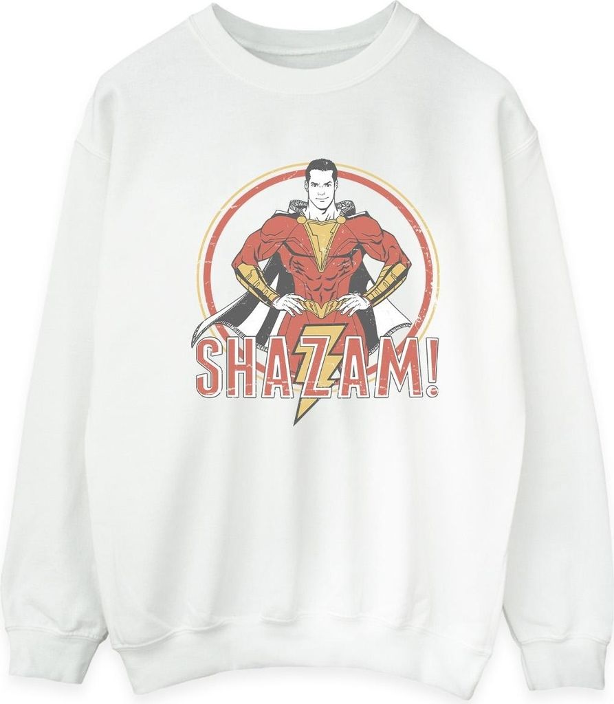 DC Comics - Sweatshirt für Herren BI44530 (S) (Weiß)