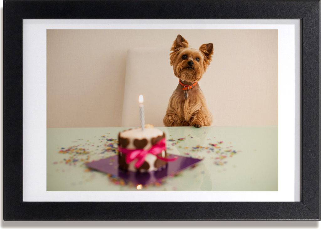 Bild 30x20 MDF-Rahmen, Wandkunst Hund mit Kuchen