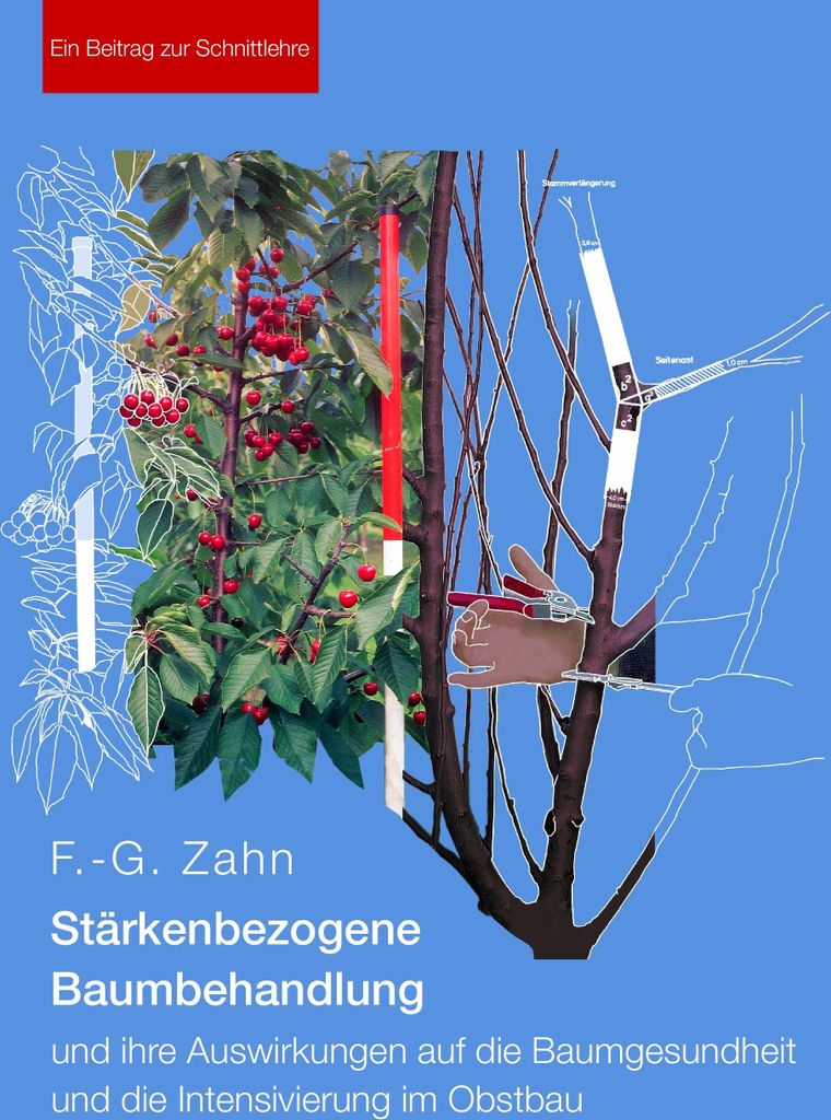 Stärkenbezogene Baumbehandlung und ihre Auswirkungen auf die Baumgesundheit und die Intensivierung im Obstbau