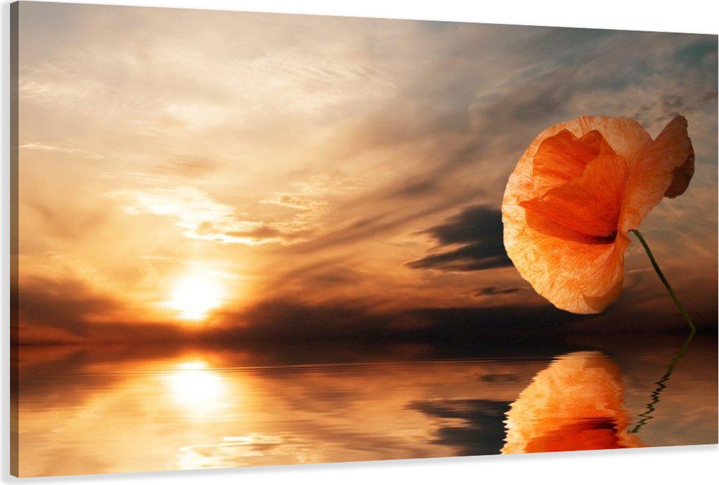 120 x 80 cm Bild auf Leinwand Sonne 5022-VKF deutsche Marke und Lager - fertig gerahmt , exklusive Markenware von Visario