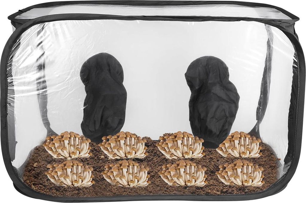 Pilzzucht zelt faltbar 60x60x90 cm pop-up, transparent, Produktbild 