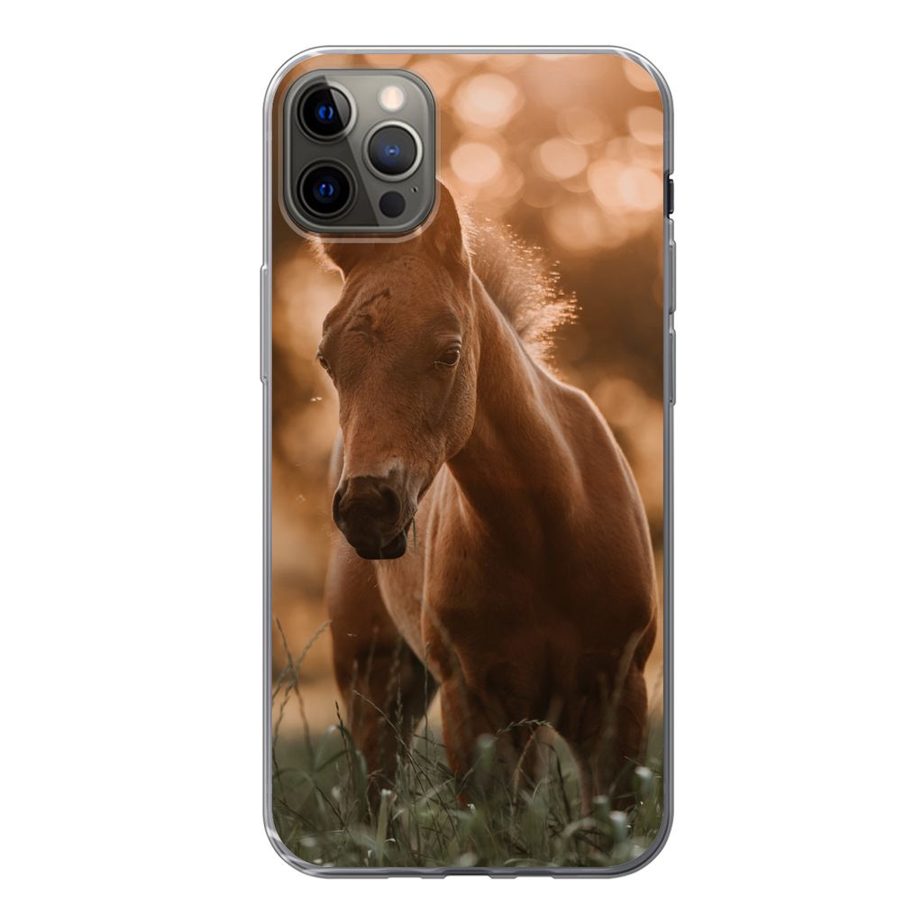 MuchoWow Handyhülle Schutzhülle Hülle für iPhone 12 Pro Max Pferd - Licht - Landschaft Silikon Softcase Handy Hülle - Hartschale