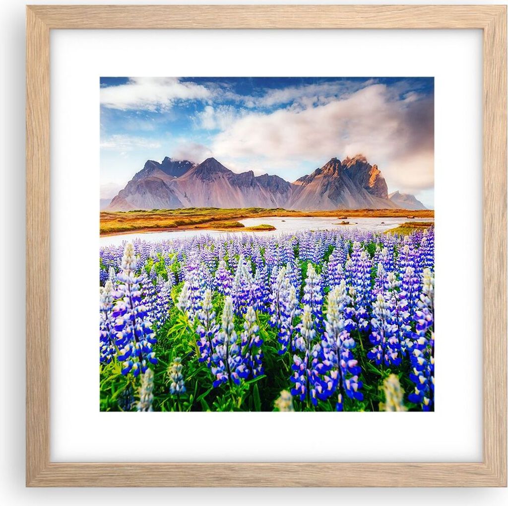 Gerahmtes Poster - Rahmen in heller Eiche - Berge Wiese Blumen - 30x30 cm - Wand Bild - Wanddeko - Wandbilder - Wandposter - Bilderrahmen - Bilder ...