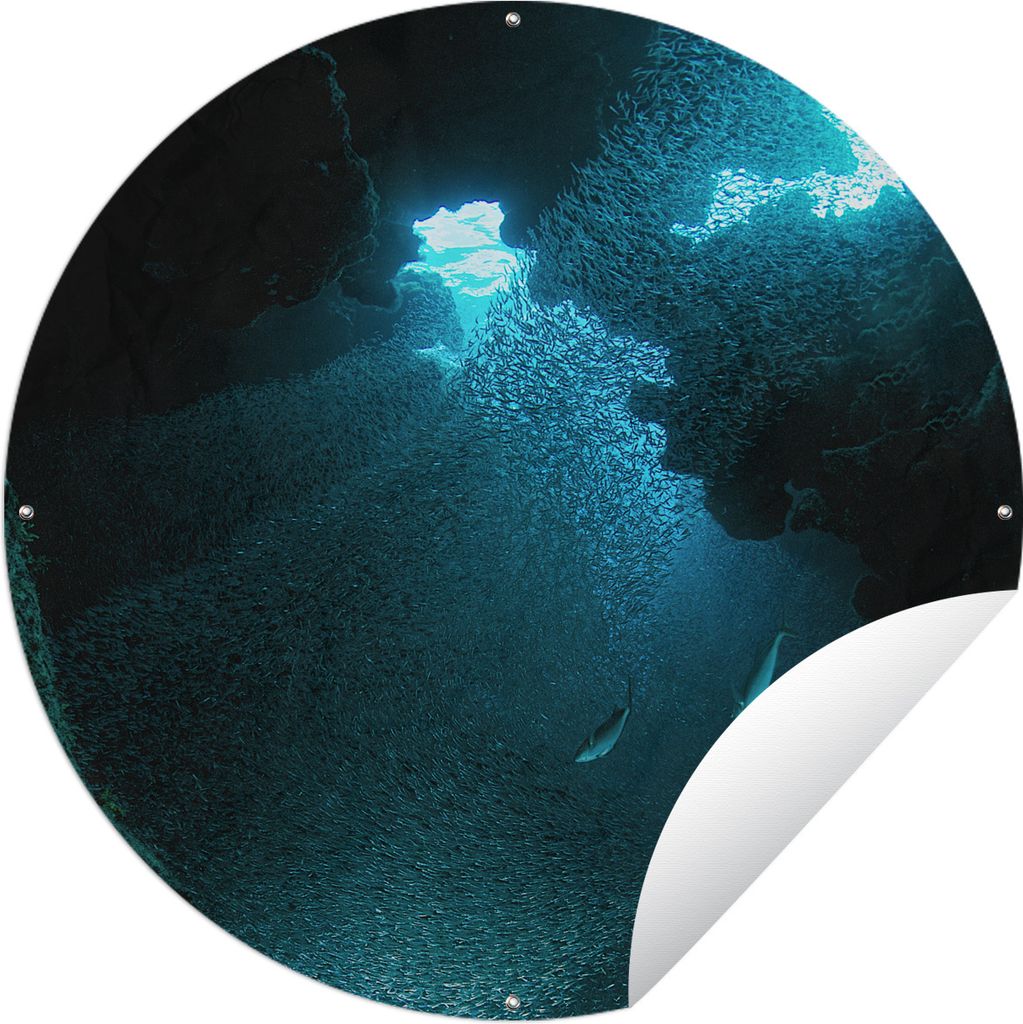 MuchoWow Gartenposter Outdoor-Poster Rund Fische schwimmen in einer Höhle mit stechendem Sonnenlicht auf Grand Cayman Ø 120 cm Gartendeko Runde...