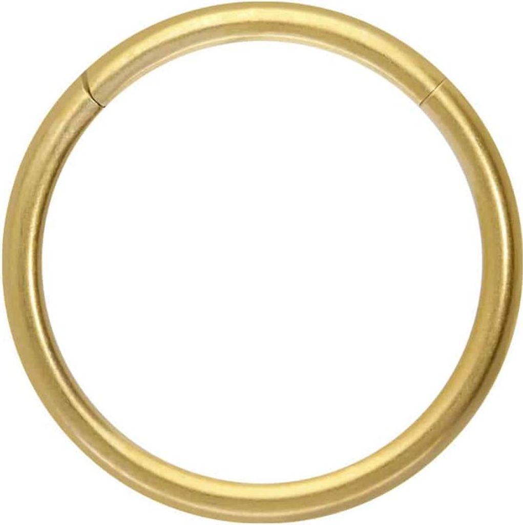 Ohrpiercing, Nasenpiercing, Septum Piercing Titan Segmentring Clicker MATT Gold Innendurchmesser: 14mm + Stabstärke: 1,6mm