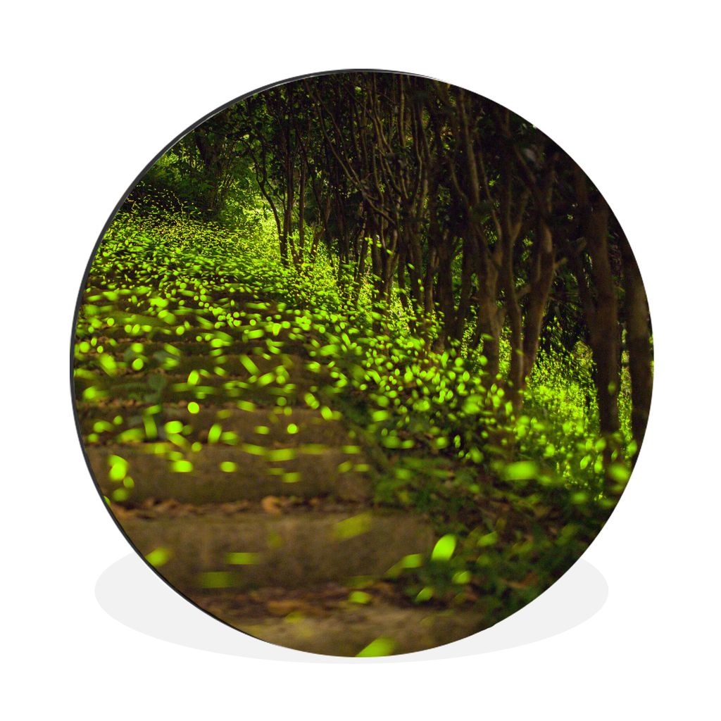 MuchoWow Aluminium Wandkreis Grüne Glühwürmchen fliegen tief über eine flache Landschaft Ø 90 cm Wanddeko Modern Wohnzimmer - Mauerkreis - W...