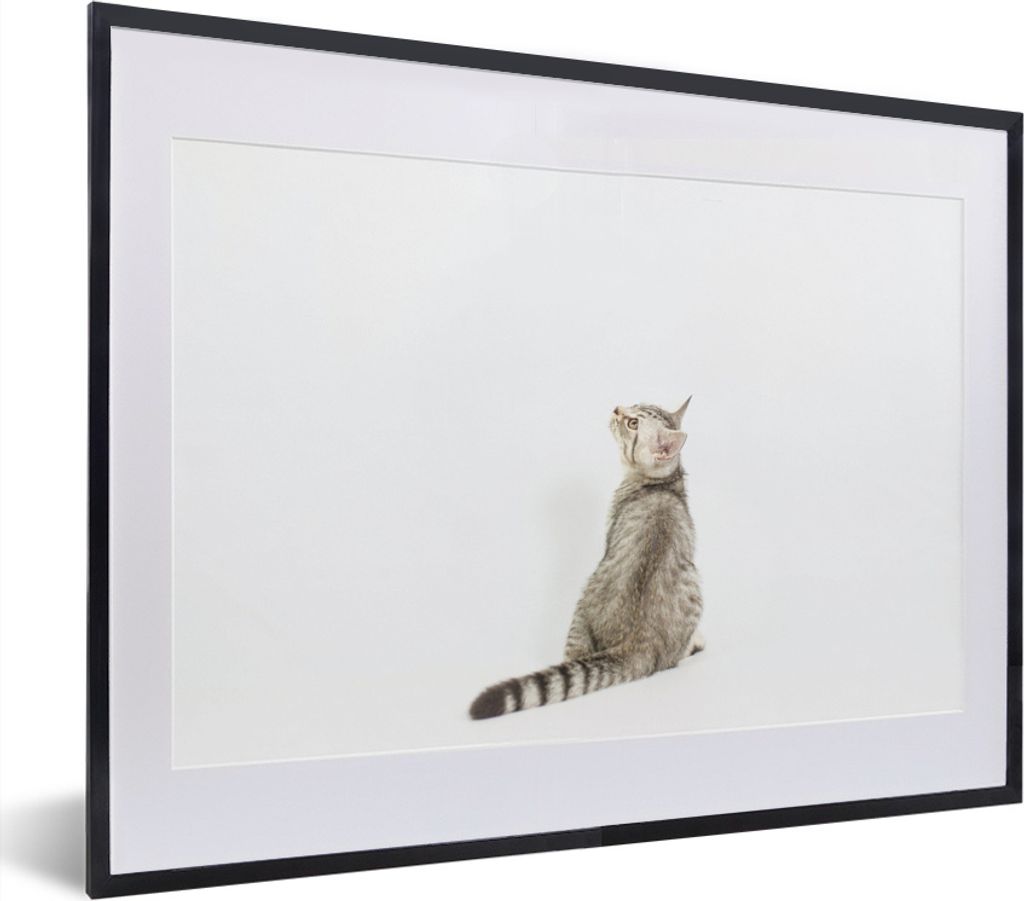 MuchoWow MuchoWow Gerahmtes Poster Katze - Haustiere - Fell 40x30 cm - Poster mit zchwarzem Bilderrahmen - Bilderrahmen - Poster im Rahmen