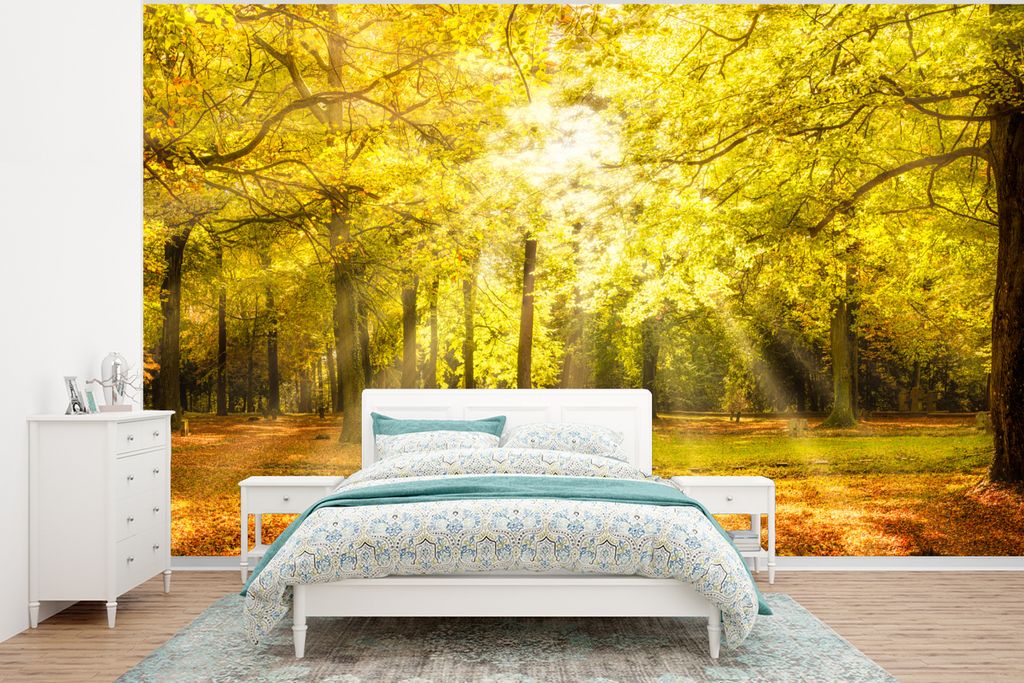 MuchoWow Fototapete für Wohnzimmer oder Schlafzimmer Wandtapete Vinyl Motivtapete Baum - Natur - Sonne - Landschaft - Wald - 350x260 cm - Wohnzi...