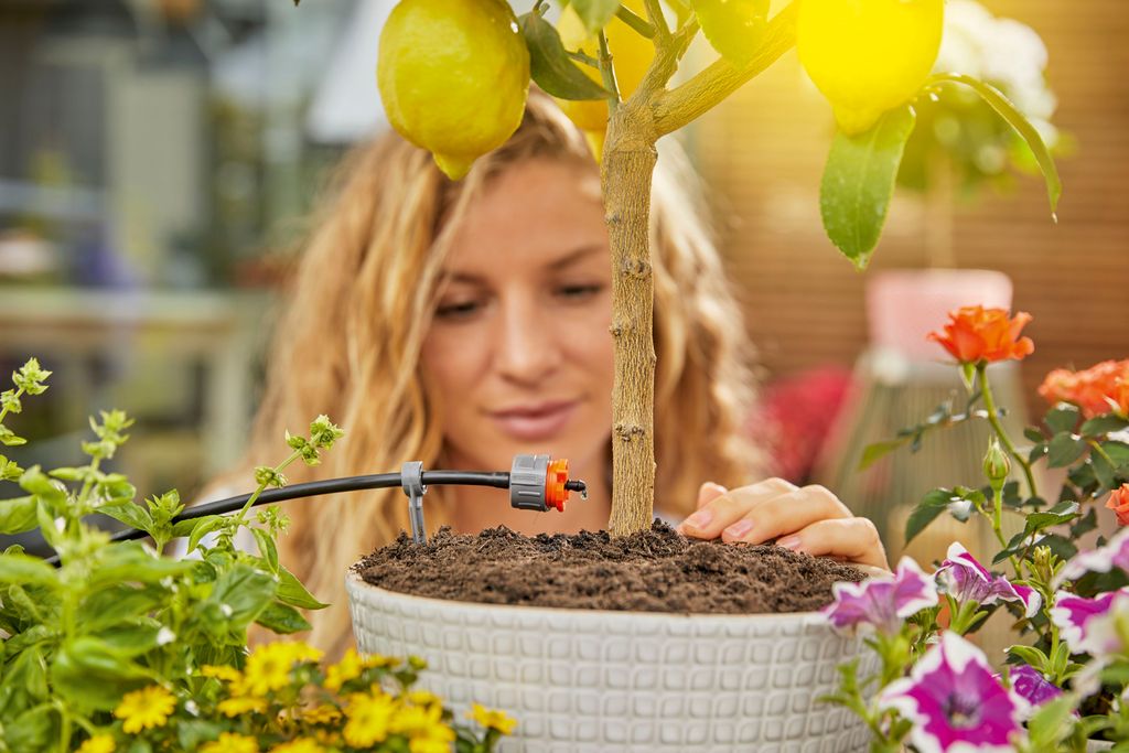 GARDENA Solar-Bewässerung AquaBloom Set 13300-20 Produktbild 15