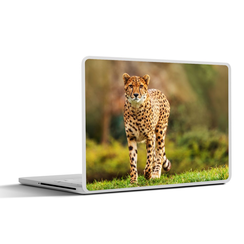 MuchoWow Laptop Aufkleber Sticker Cover Wildtiere - Gras - Leopard - Natur 36.5x27.5 cm - Laptop-Sticker