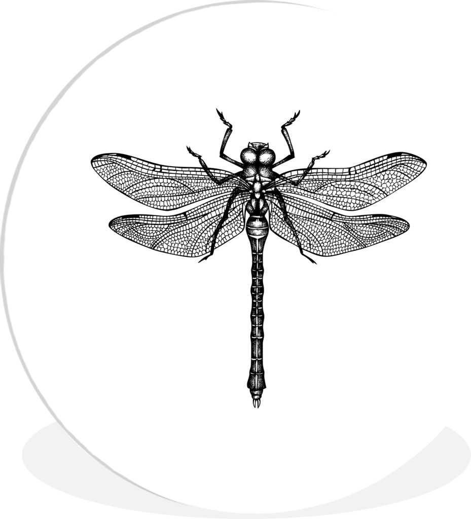 MuchoWow Rundes Wandbild - Runde Bilder Libelle - Insekten - Retro - Schwarz und weiß Ø 60 cm Kreis Wanddekoration Kunststoff - Wandkreis - Wan...