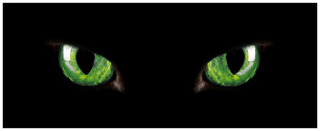 Wallario Premium Glasbild, freischwebende Optik, kräftige Farben, Größe 80 x 32 cm Motiv Grüne Katzenaugen bei Nacht