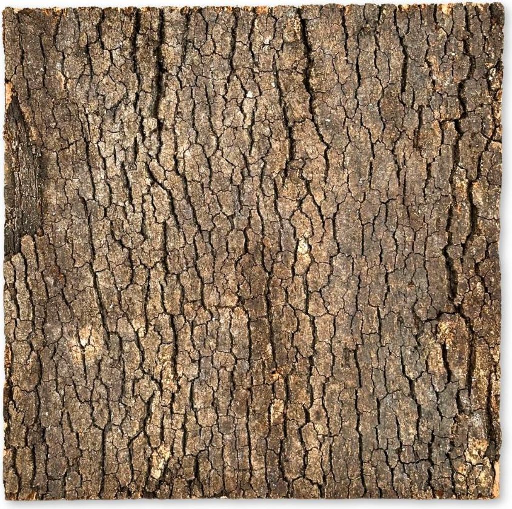 BioVirgin Korkové pozadie tmavé 30x30cm korkové pozadie pre Obrázok produktu 