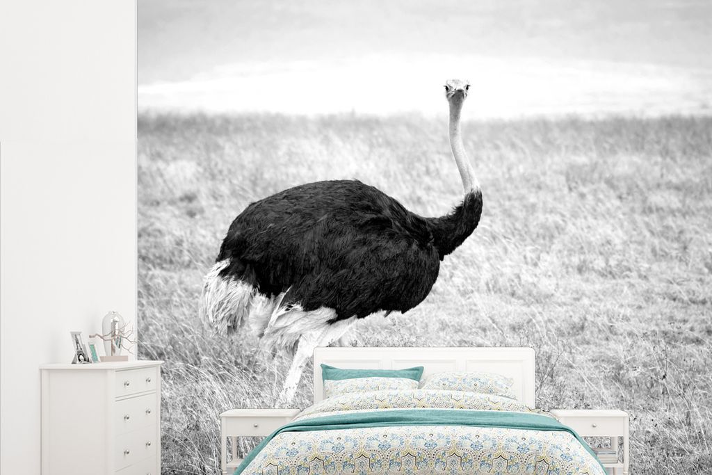 MuchoWow Fototapete für Wohnzimmer oder Schlafzimmer Wandtapete Vinyl Motivtapete Portrait männlicher Strauß - schwarz und weiß - 265x220 cm ...