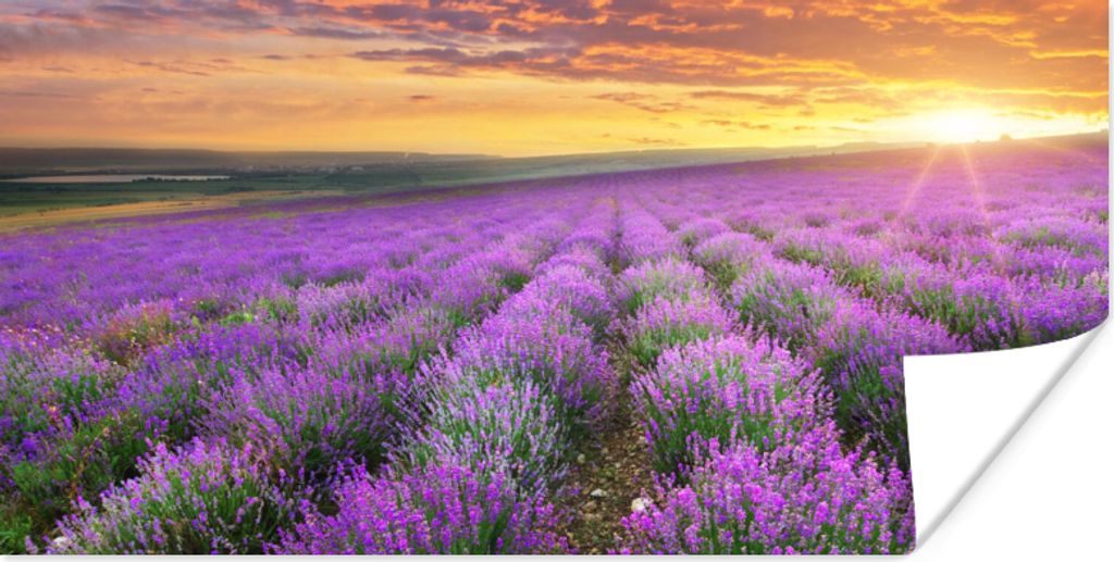 MuchoWow Poster Lavendel - Wolken - Frühling 120x60 cm - Bild