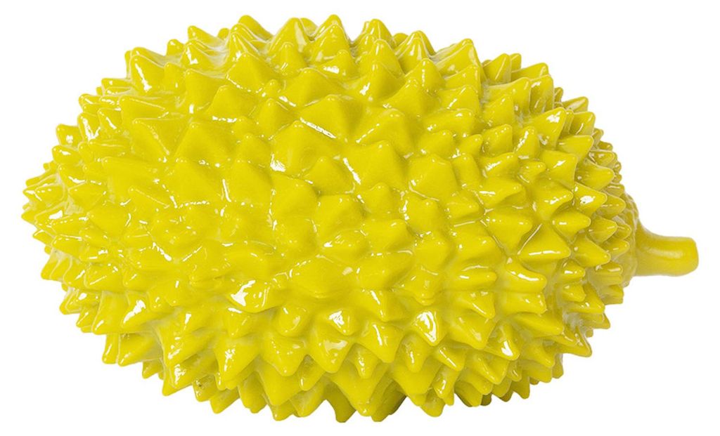 Durian Quietschspielzeug für Hunde, Simulationsform, bissfest, interaktives Spielzeug zum Kauen, Zähneknirschen
