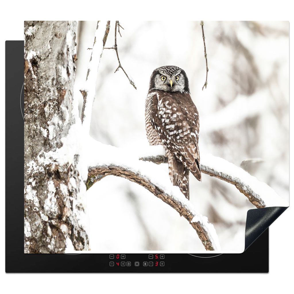 KitchenYeah Herdabdeckplatte Eule - Schnee - Winter - Vögel - Porträt , 59x51cm, Küche Deko, Glaskeramikkochfeld Herdabdeckung, Abdeckplatte f...