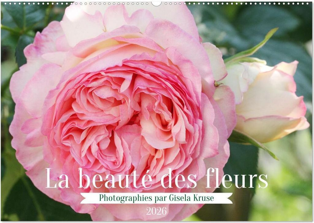 La beauté des fleurs (Calendrier mural 2026 DIN A2 vertical), CALVENDO calendrier mensuel