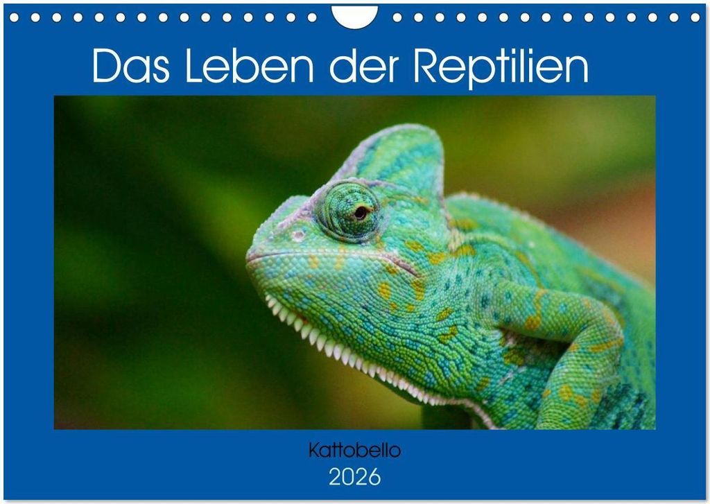 Das Leben der Reptilien (Wandkalender 2026 DIN A4 quer), CALVENDO Monatskalender
