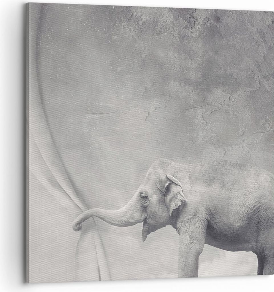 Bild auf Leinwand - Leinwandbild - Elefant Vorhang Abstraktion Phantasie - 60x60cm - Wand Bild - Wanddeko - Leinwanddruck - Bilder - Kunstdruck - L...