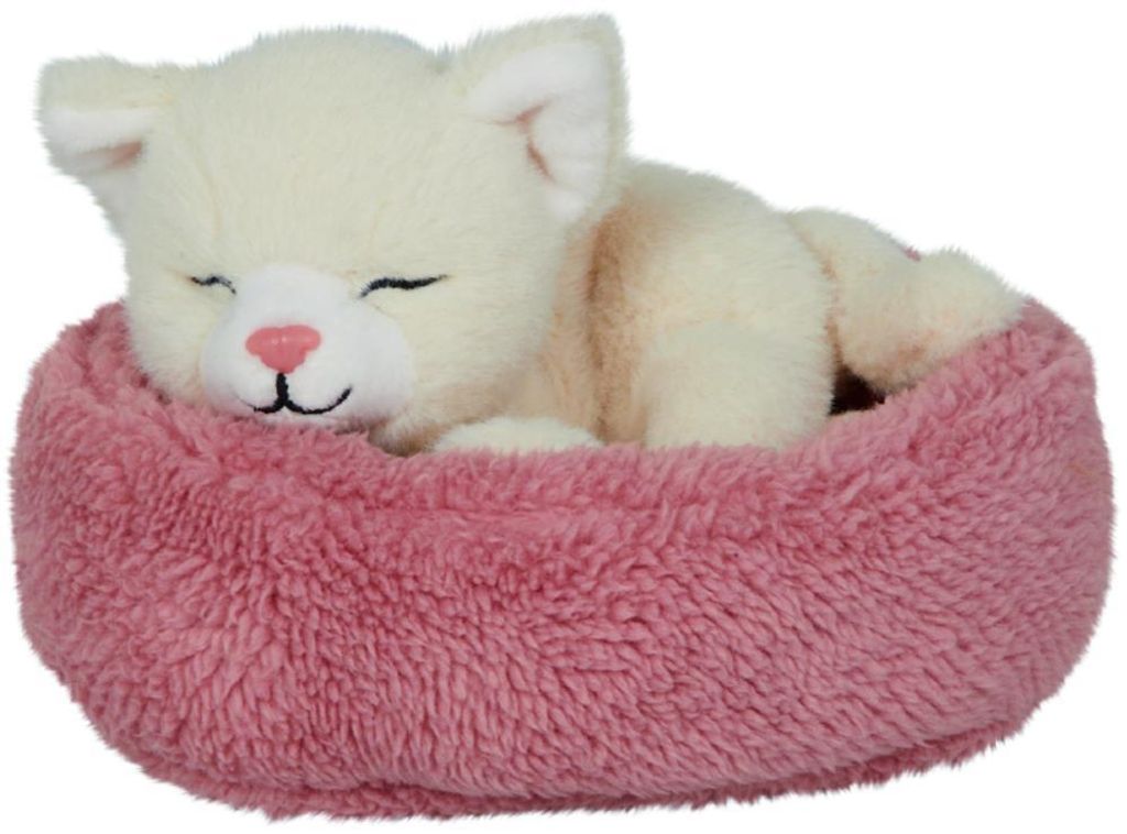 Lustige Tierparade - Schlafende Katze Penny im Kor Produktbild 