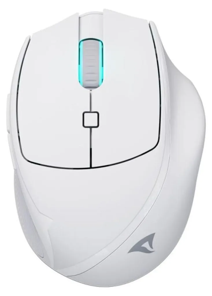 Souris OfficePal M25W Sharkoon Optique 4000 DPI - Blanche - 6 Boutons