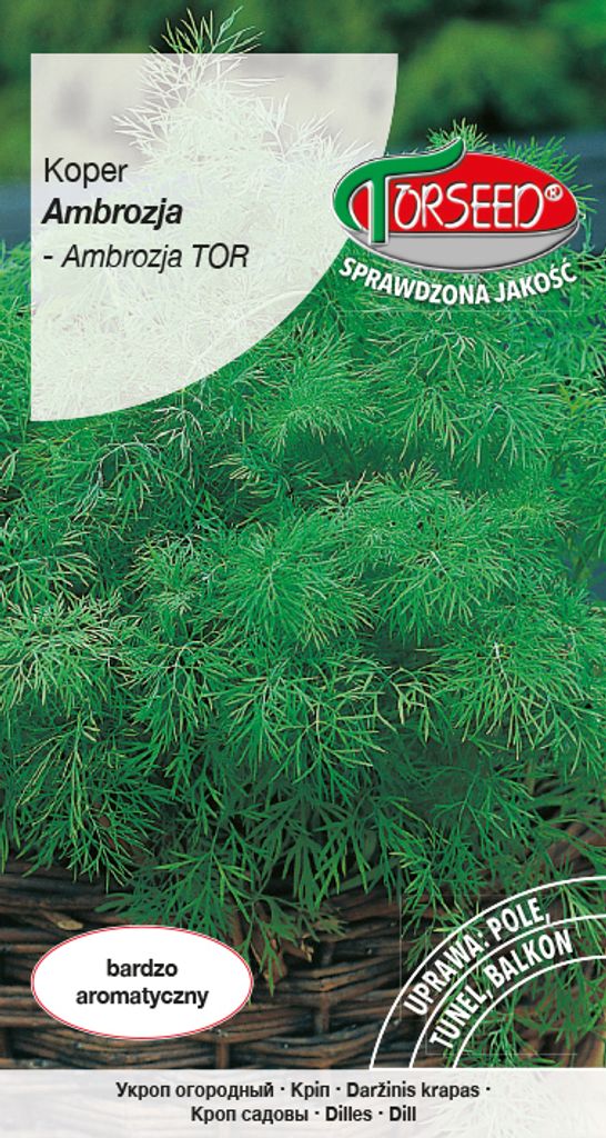 Dill Ambrosia Samen 5g - Torseed Produktbild 