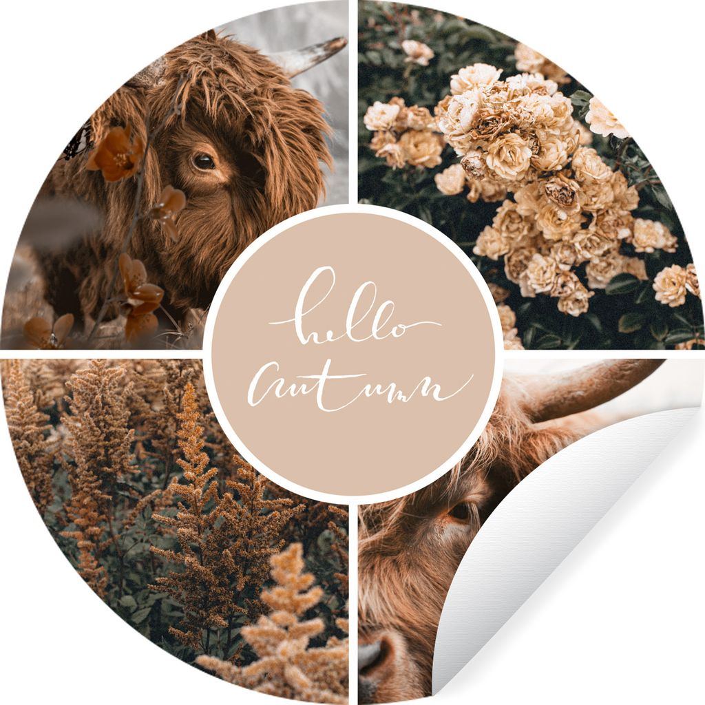 MuchoWow Runde Wandtattoo - Wandsticker Tapete Aufkleber Schottischer Highlander - Herbst - Collage Ø 50 cm Selbstklebend und Repositionierbar -...