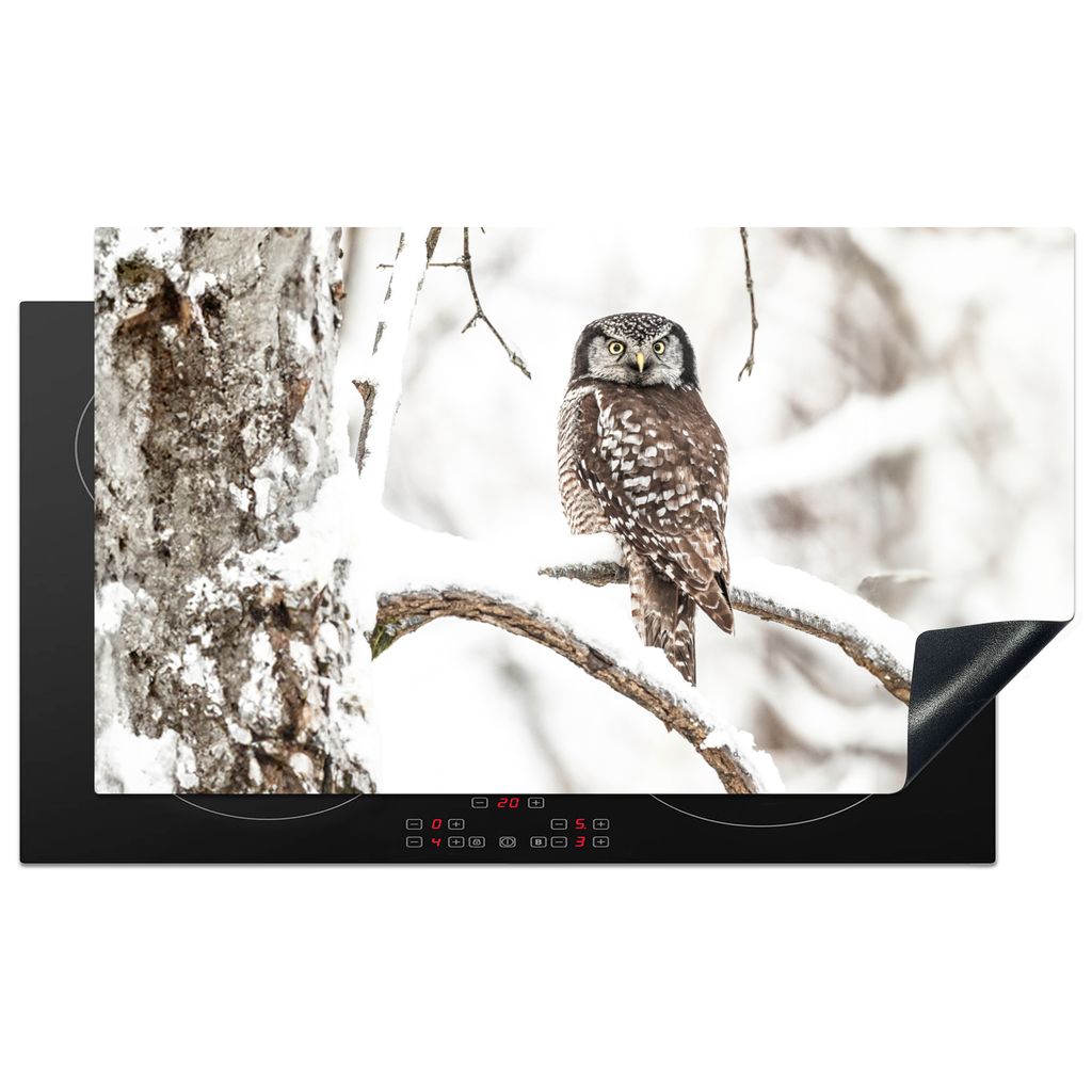 KitchenYeah Herdabdeckplatte Eule - Schnee - Winter - Vögel - Porträt , 91x52cm, Küche Deko, Glaskeramikkochfeld Herdabdeckung, Abdeckplatte f...