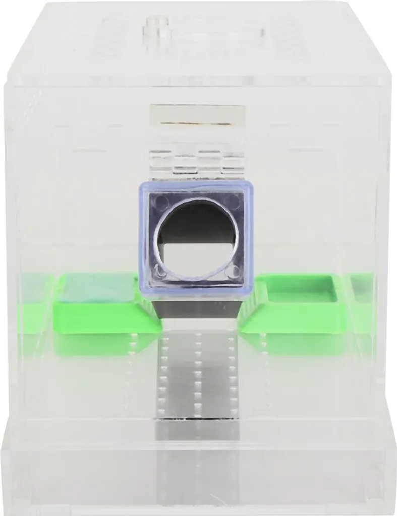 Kit élevage de grillons Acrylique Cricket Keeper avec tubes de 15cm