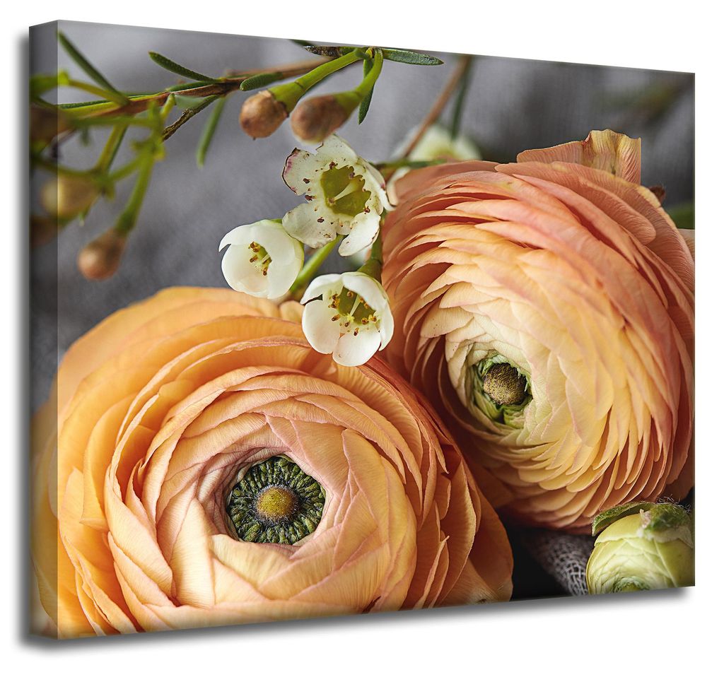 Leinwanddruck Botanik Blumen 50x40 cm