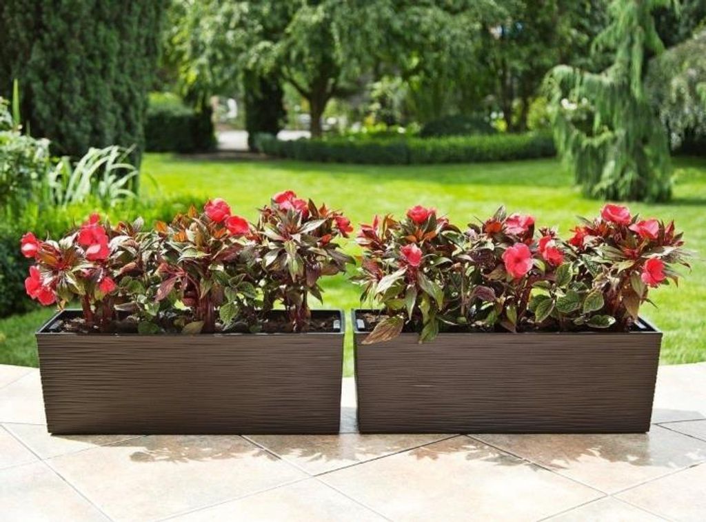 Kunststoffkasten 56Cm Lamelle Begonie Produktbild 