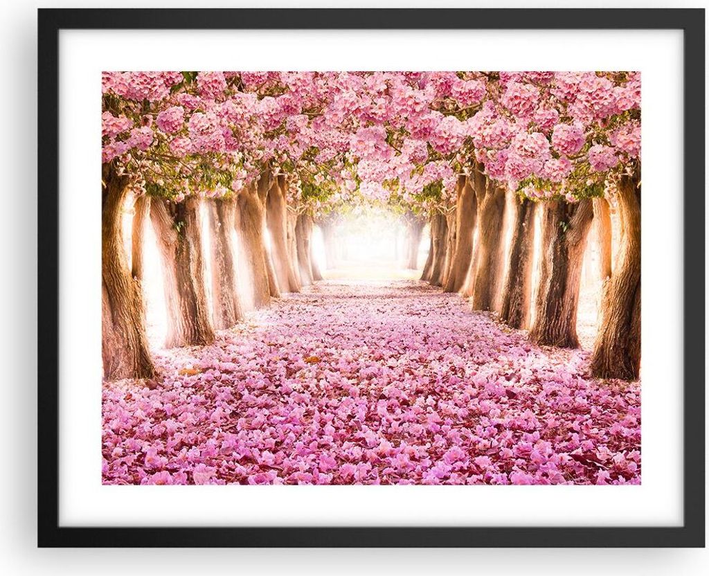 Gerahmtes Poster - Schwarzer Rahmen - Baum Blumen Kirsche Natur - 50x40 cm - Wand Bild - Wanddeko - Wandbilder - Wandposter - Bilderrahmen - Bilder...