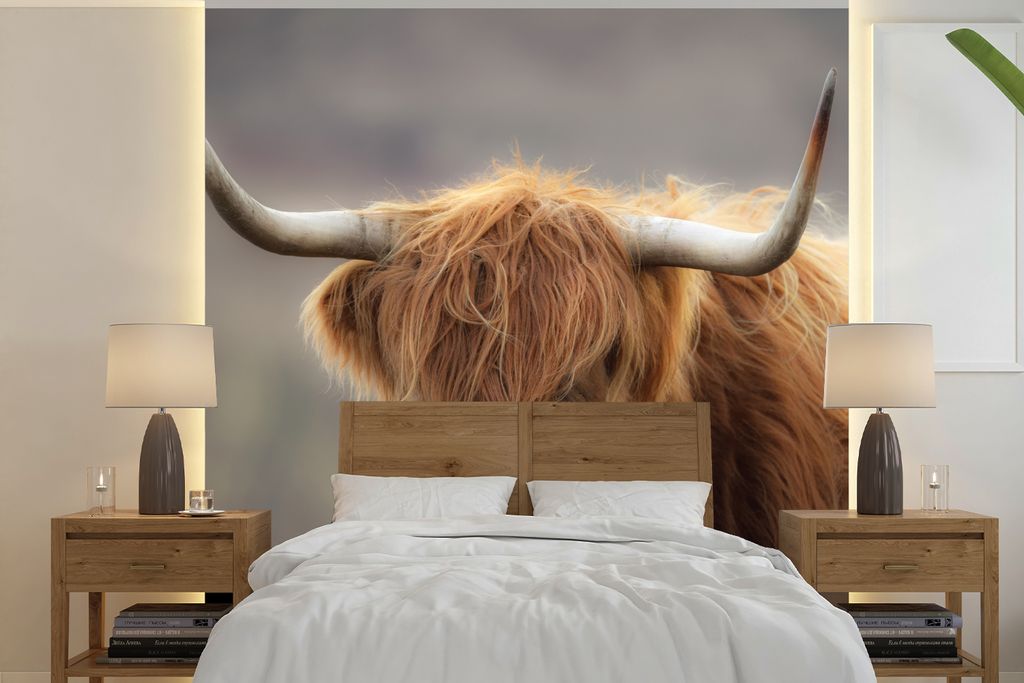 MuchoWow Fototapete für Wohnzimmer oder Schlafzimmer Wandtapete Vinyl Motivtapete Schottischer Highlander - Licht - Porträt - 280x280 cm - Hint...