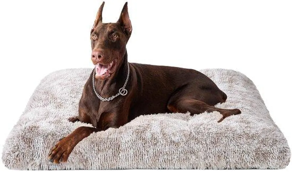 Couchage Chien XXL Antidérapant - Grand Coussin Déhoussable et Doux