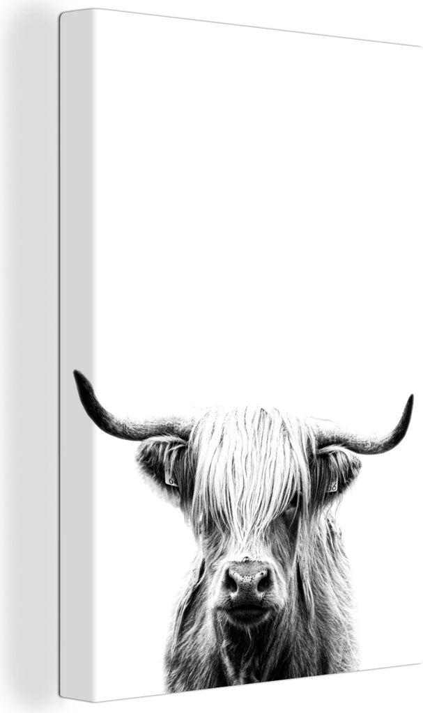 OneMillionCanvasses - Leinwandbilder - 90x140 cm, Schottisches Hochlandrind auf weißem Hintergrund - schwarz und weiß, Wandbilder Kunstdruck Wa...