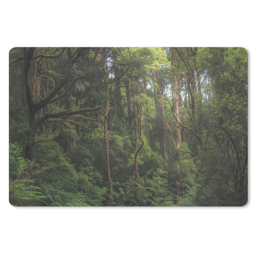 MuchoWow Schreibtischunterlage Dschungel in Australien 60x40 cm - XXL Mauspad - Großes Mauspad