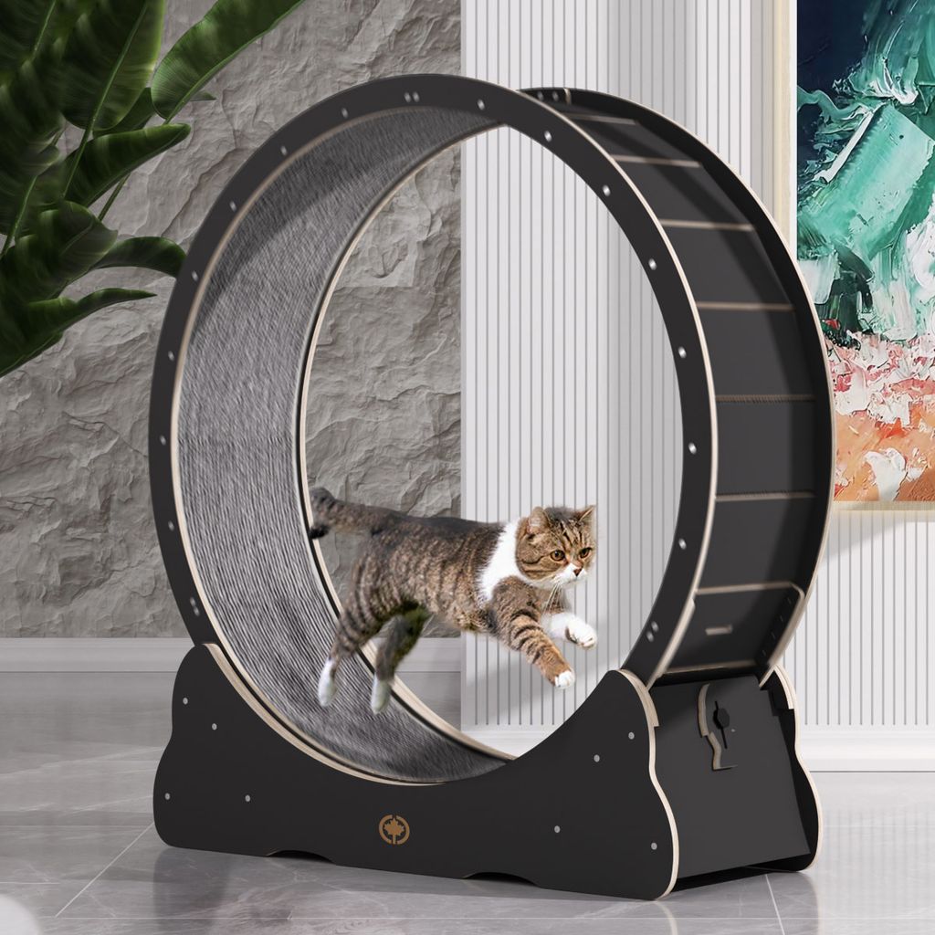A cat is running on a large black cat wheel in a modern living room setting.