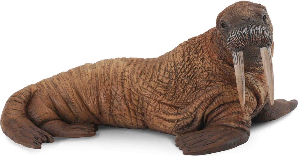 Collecta - Vorsa -L- 88569 (90188569) COLECTA Produktbild 