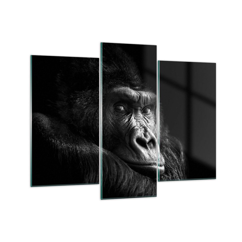 Bilder auf glas - 3 Teile - Affe Gorilla Porträt - 130x100cm - Glasbilder - Wandbilder - Bilder - zum Aufhängen bereit - Wanddekoration aus Glas ...