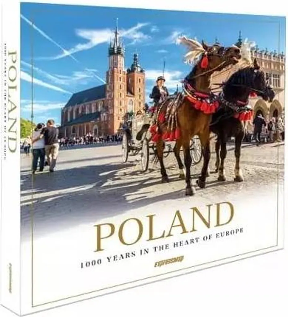 Chaise Poland Stable et Anti-Rayures - Finissez-en avec les Meubles Fragiles