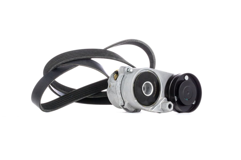 RIDEX 542R0181 Keilrippenriemensatz für VW PASSAT Variant (3B6)