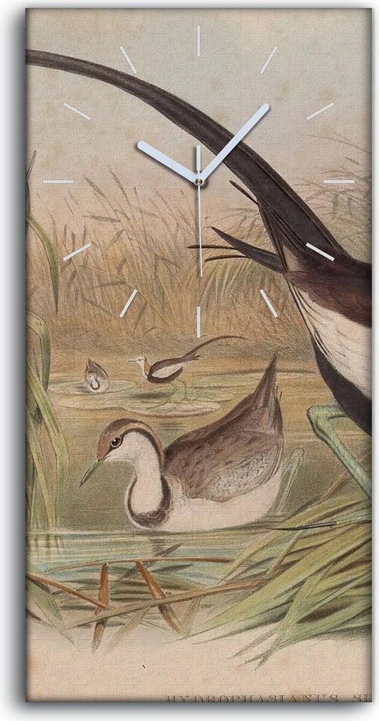 Wandbild Leinwand Bilder Wanduhr 30x60 Vögel Wild Tiere Zeichnung Kunst - weiße Hände