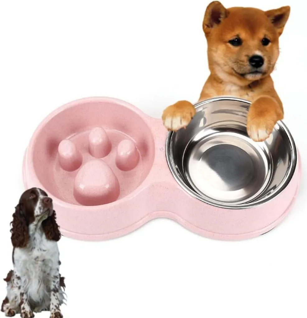 Double gamelle anti-glouton et tapis de propreté pour repas de chat et chien