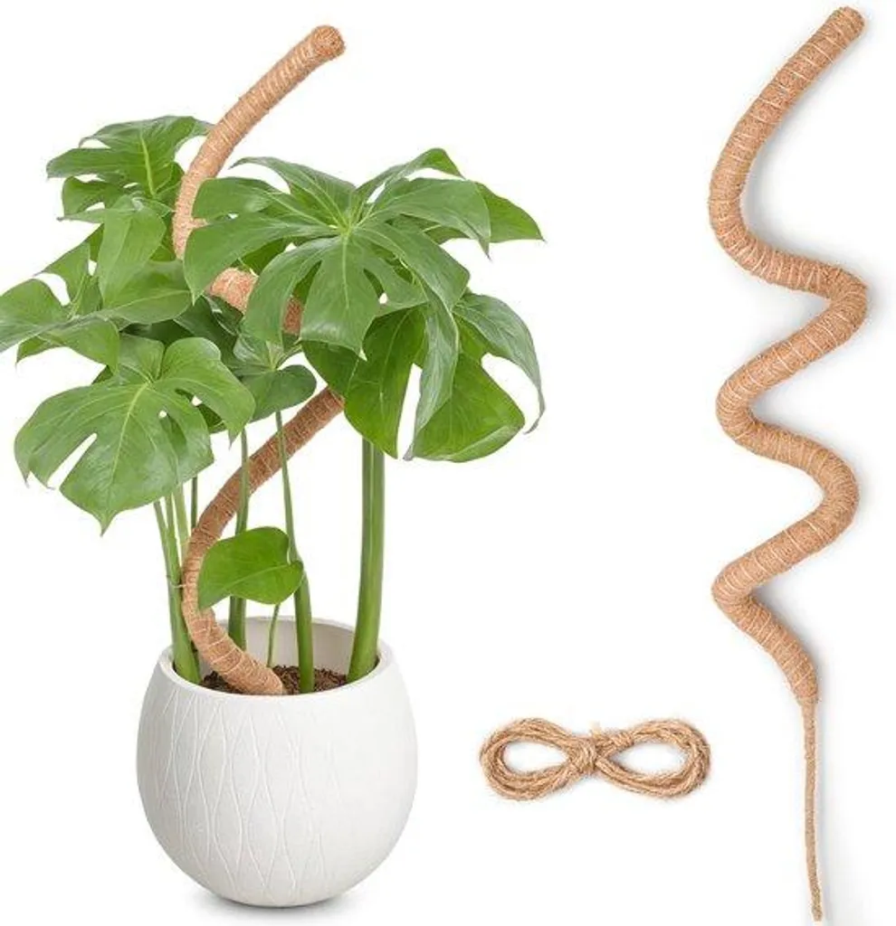 Tuteur flexible de 120 cm pour plantes grimpantes - Support artisanal 1x