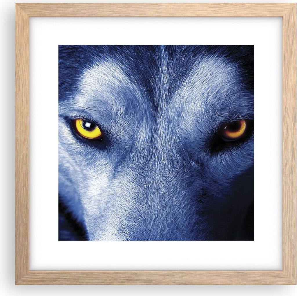 Gerahmtes Poster - Rahmen in heller Eiche - Schau der Wolf Produktbild 