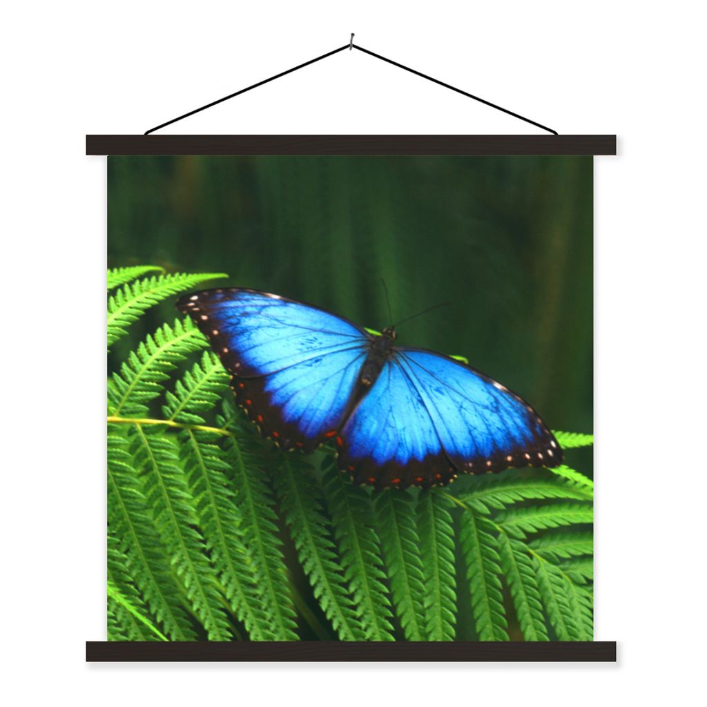 MuchoWow Textilposter Morpho-Schmetterling 90x90 cm mit schwarzem Rahmen - Magnetisches
